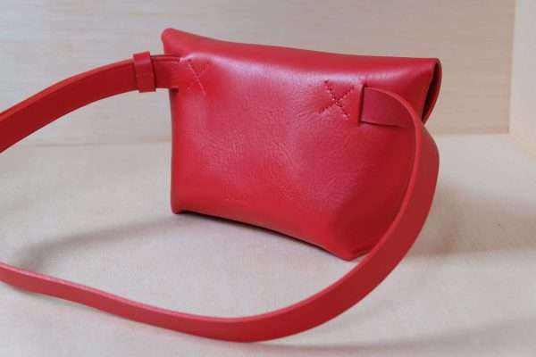 DSCF8798 L136 M Red