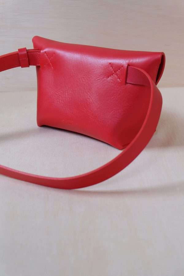 DSCF8799 L136 M Red